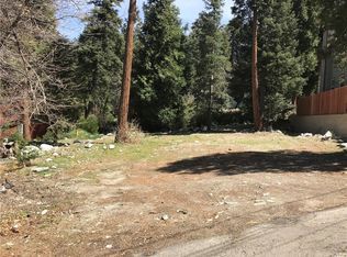 9391 Canyon Dr, Forest Falls, CA 92339