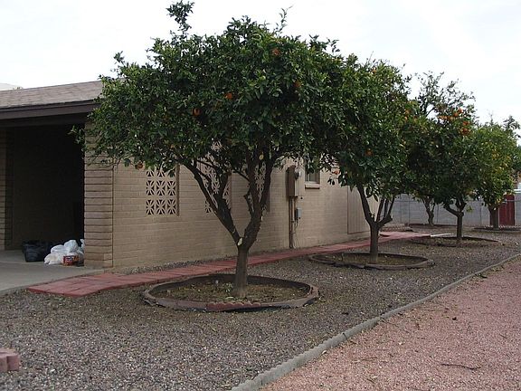 Fruit Trees  1829 W 14th Ave