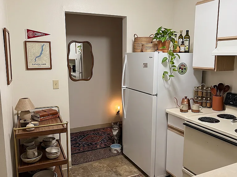 Kitchen Layout