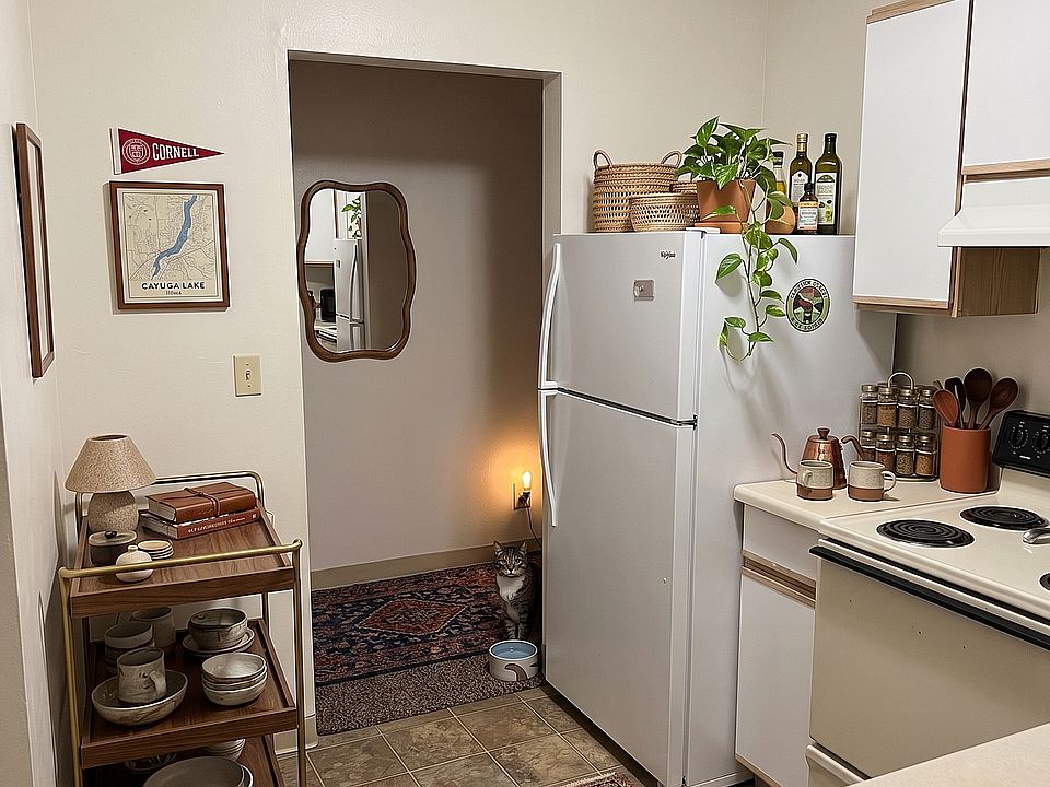 Kitchen Layout