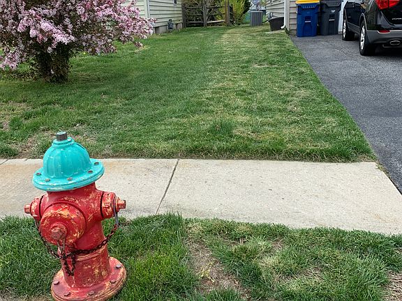 Fire Hydrant marks boundary 