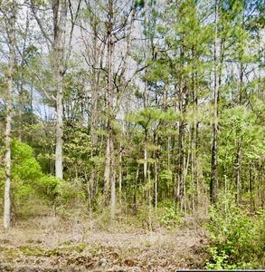 Buck Run, Hensley, AR, 72065