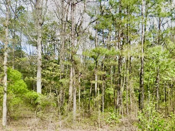 Buck Run, Hensley, AR 72065