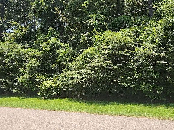 4th image of Terri Ln
