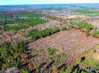 417 Walter Ln, Price, TX 75687