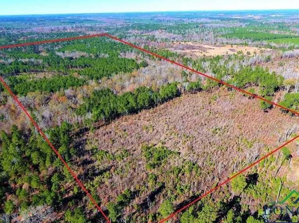 417 Walter Ln, Price, TX 75687