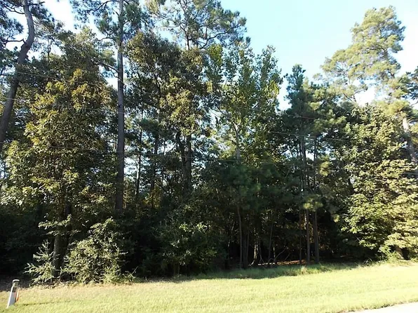 Pelican St, Magnolia, TX 77355