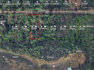 113 Coldbrook St, Georgetown, FL 32139