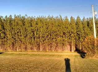 48765 285th Ave, Vergas, MN 56587