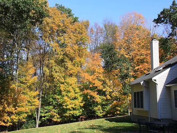 Back yard in fall