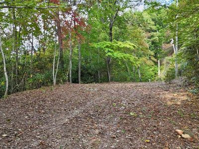 499 Deep Springs Dr, Franklin, NC, 28734