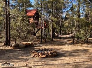 2074 Lone Mountain Rd, Overgaard, AZ 85933