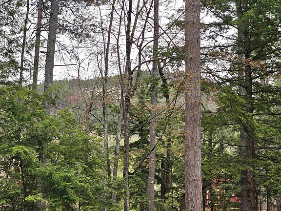 4th image of Lot 260 Thompson Road