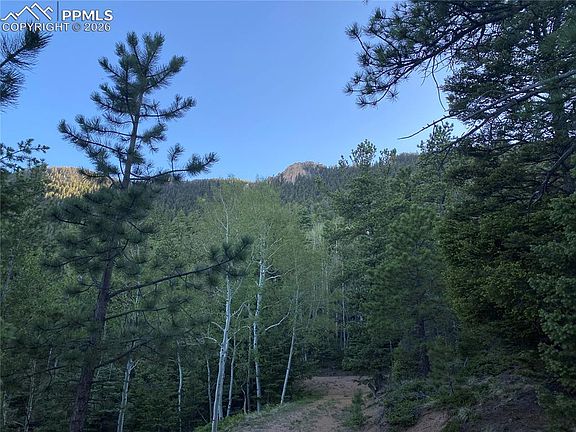 3rd image of 285 Forest Rd