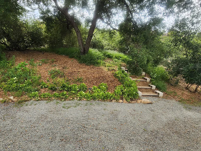 12410 Mirar De Valle — Photo 29