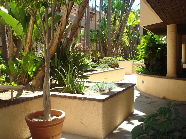 941 W Carson St #209 — Photo 4