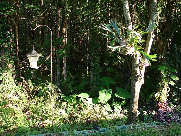 Wildlife retreat
