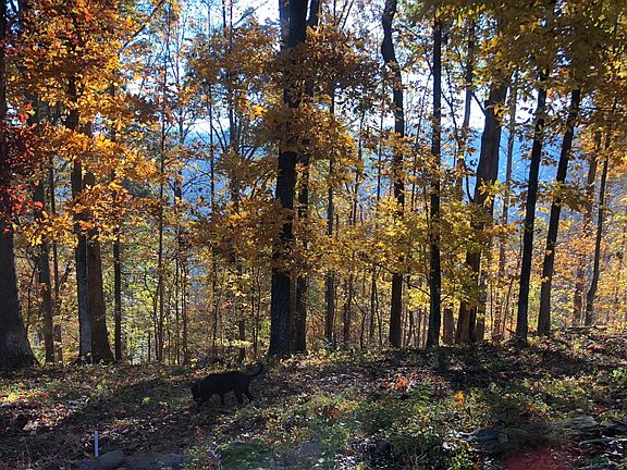 3rd image of 804 S Shiloh Rd