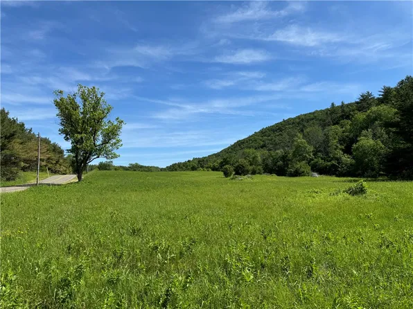 0 Michigan Hollow Rd #31, Spencer, NY 14883