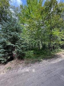 PARCEL Lutz Ln #C, Grayling, MI, 49738