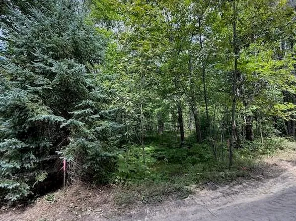 PARCEL Lutz Ln #C, Grayling, MI 49738