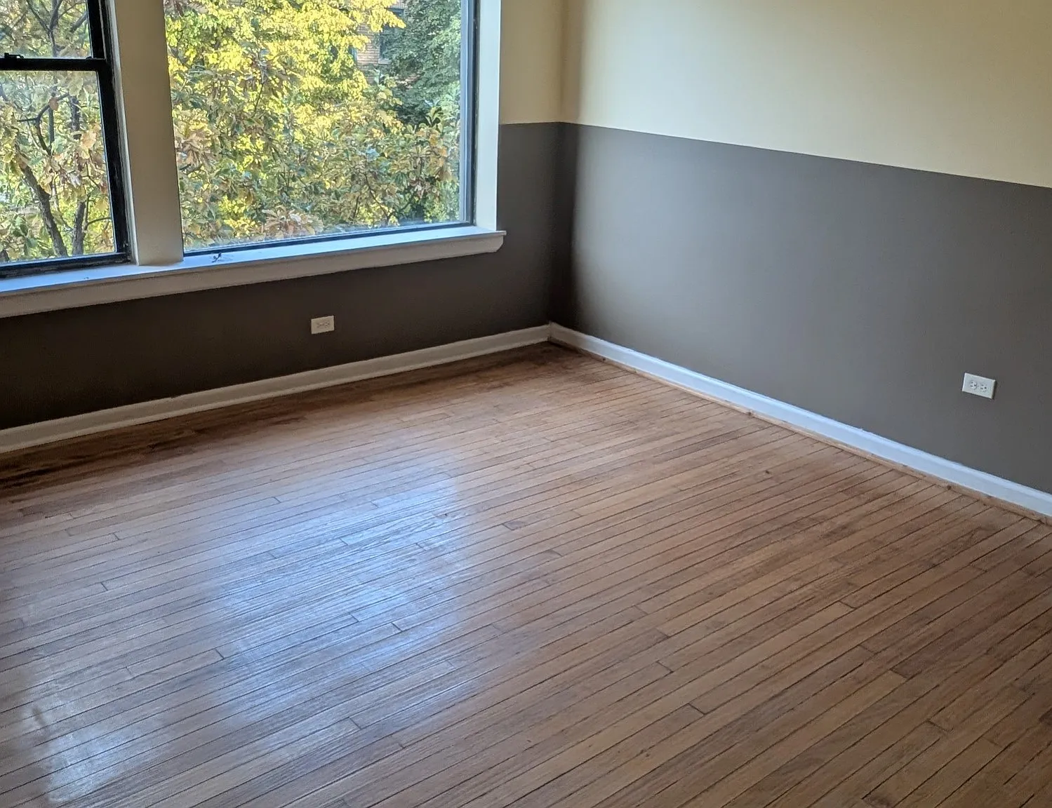 1315 W 82nd St — Photo 3