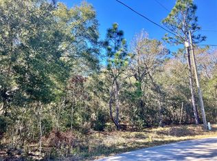 Water Track Ct LOT 17, Ocala, FL 34472