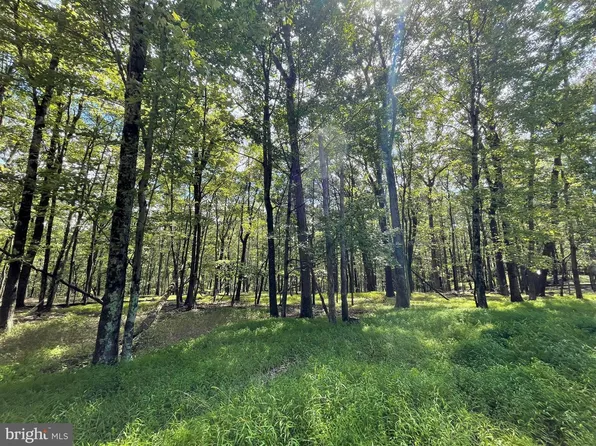 117 Spring Mountain Dr, Zion Grove, PA 17985