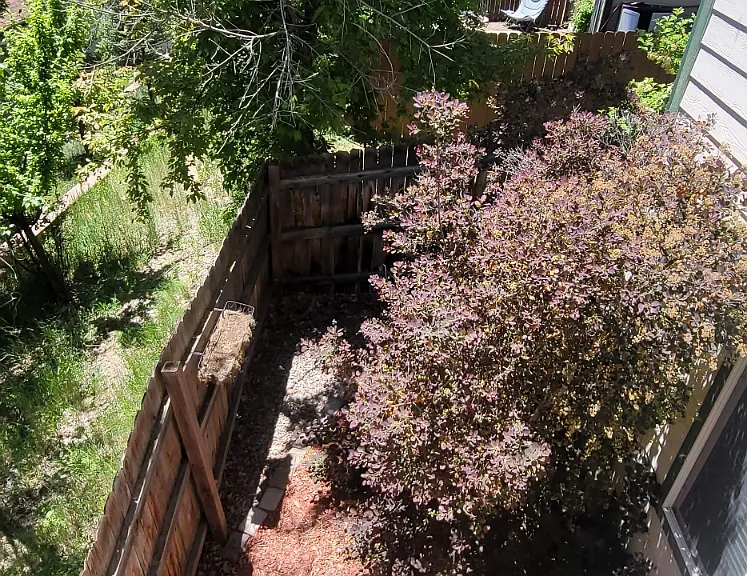 Looking into yard from balcony