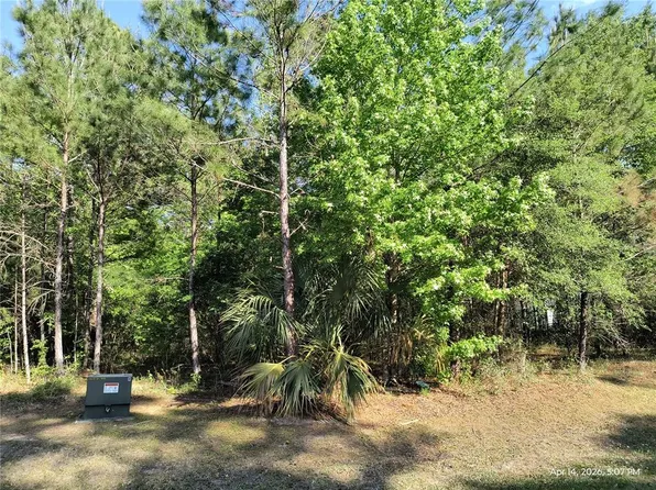 NW 141st Ave Lot 30, Williston, FL 32696
