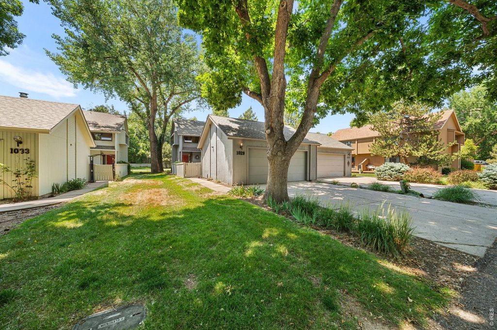 1029 Driftwood Dr