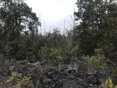 Trade Wind Blvd, Ocean View, HI, 96737