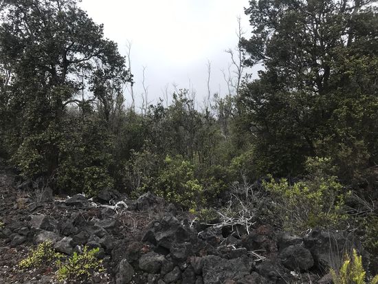 Trade Wind Blvd Lot 12, Ocean View, HI 96737