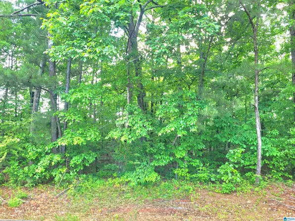 Thomas Ave #1, Talladega, AL 35160