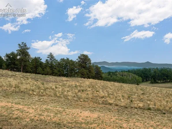954 County Road 403, Guffey, CO 80820