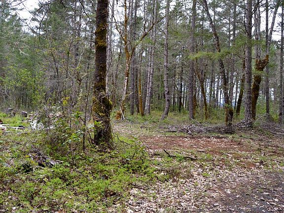 4th image of 10880 Redwood Hwy