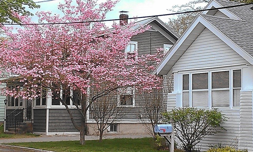 6 Brentham Rd, Billerica, MA 01821 Zillow