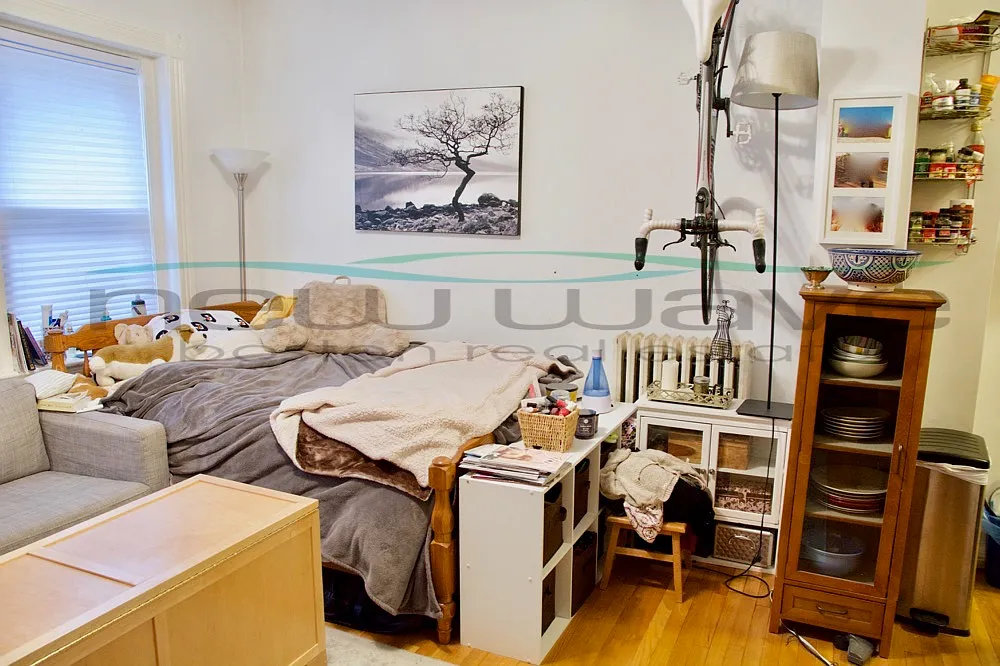 Studio, 450 sqft, $2,500 — Photo 2