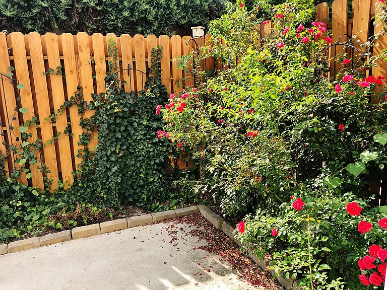 71 Farington Cir — Photo 15