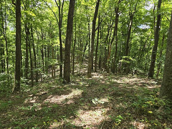 3rd image of 16 Seals Hollow Rd