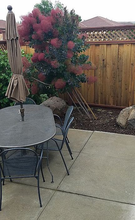 2nd image of 2646 E 20th St