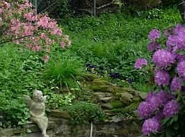 pond/waterfall