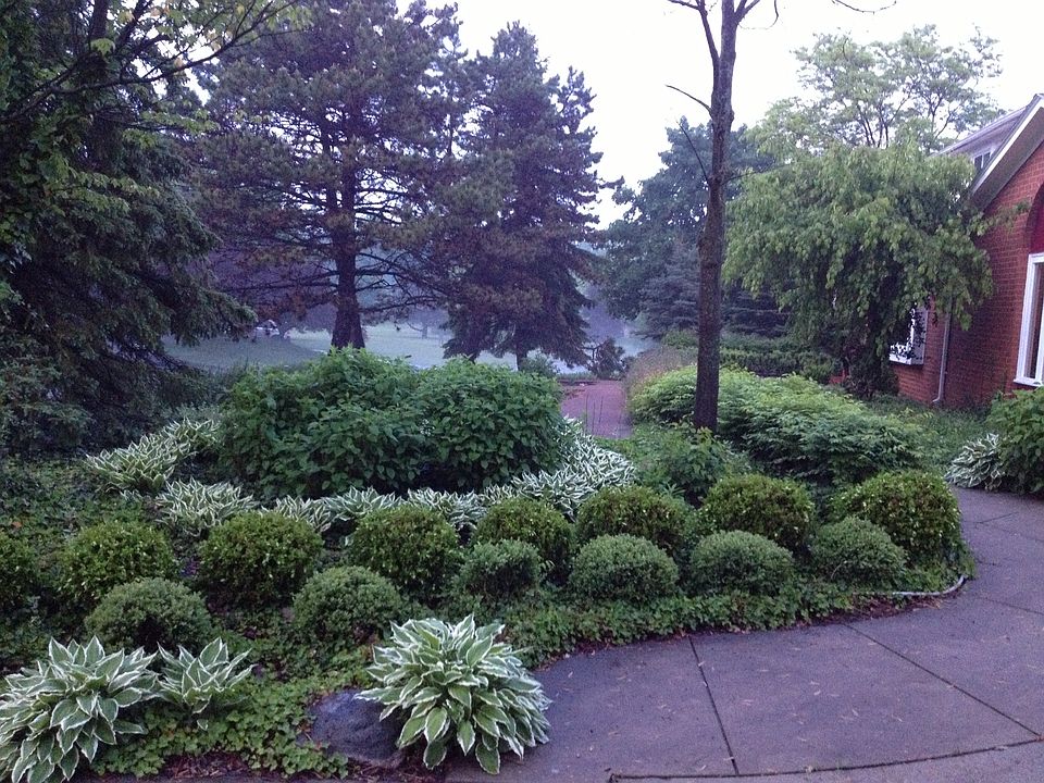 Front Yard