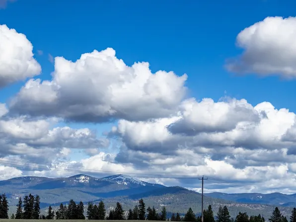 8305 E Greenbluff Rd, Colbert, WA 99005