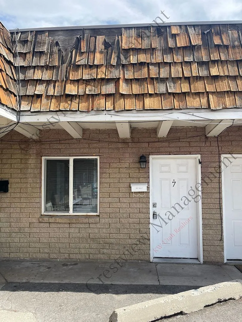 Tooele Vine — Photo 3