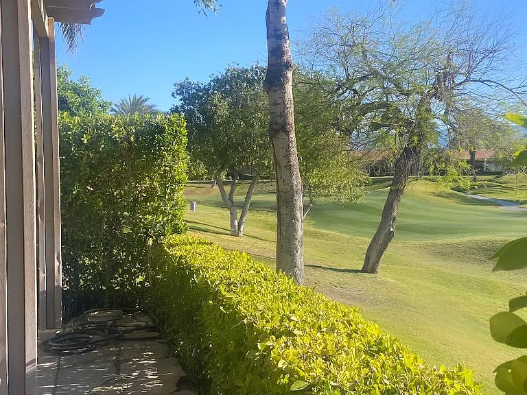 One of my favorite patio views.