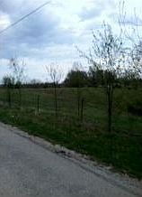 2nd image of 8867 State Hwy 248