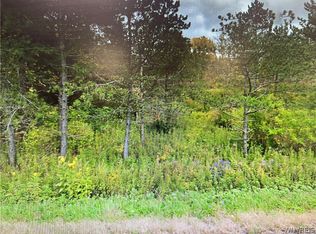 10 Vl Snyder Rd, East Aurora, NY 14052