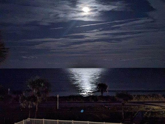 5th image of 2290 N Ocean Shore Blvd #3060