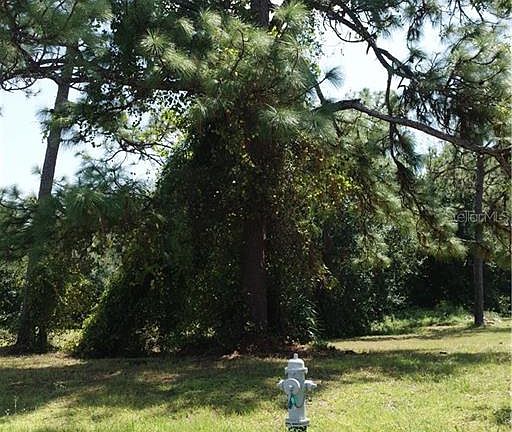 3rd image of 3400 Pine Needle Trl